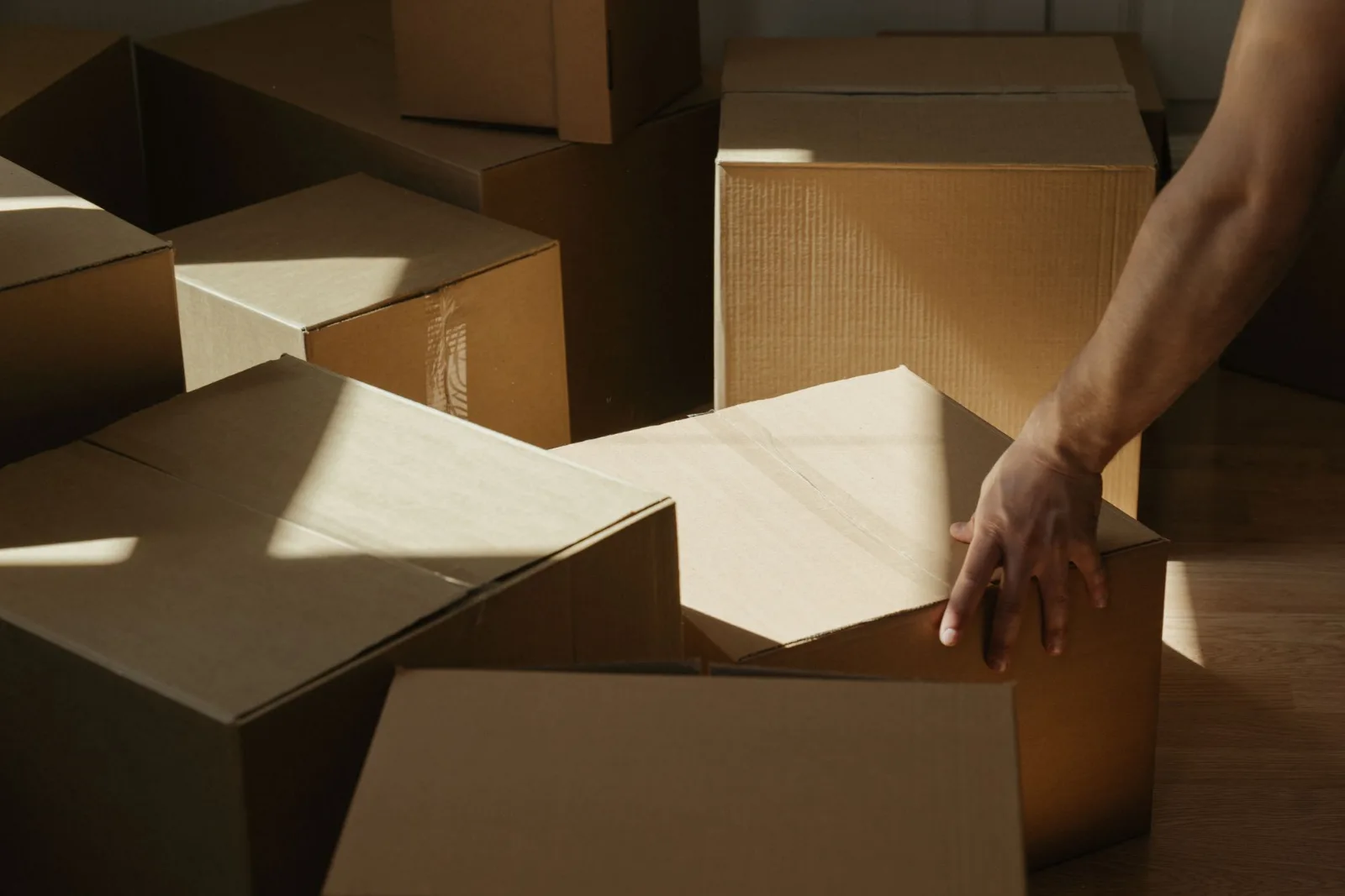 A person moving cardboard boxes in a bright sunlit room